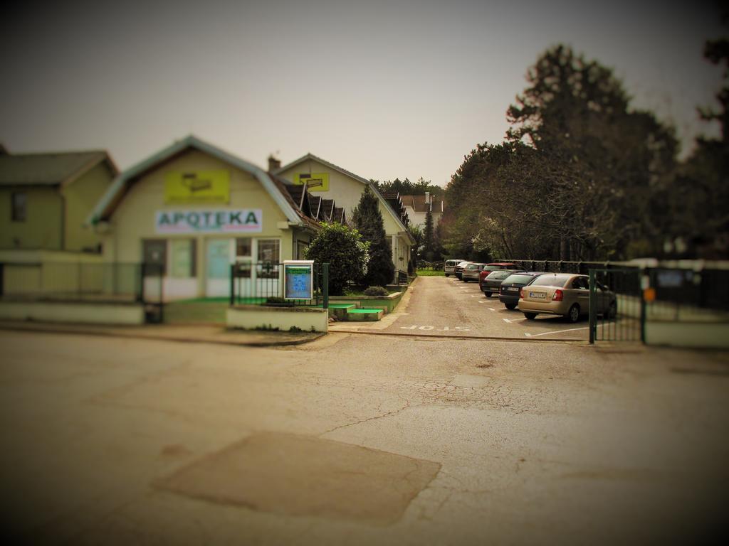 B&B Villa Evandjelina Sremska Kamenica Dış mekan fotoğraf