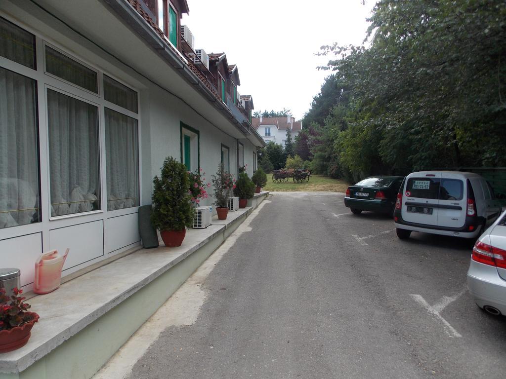 B&B Villa Evandjelina Sremska Kamenica Dış mekan fotoğraf