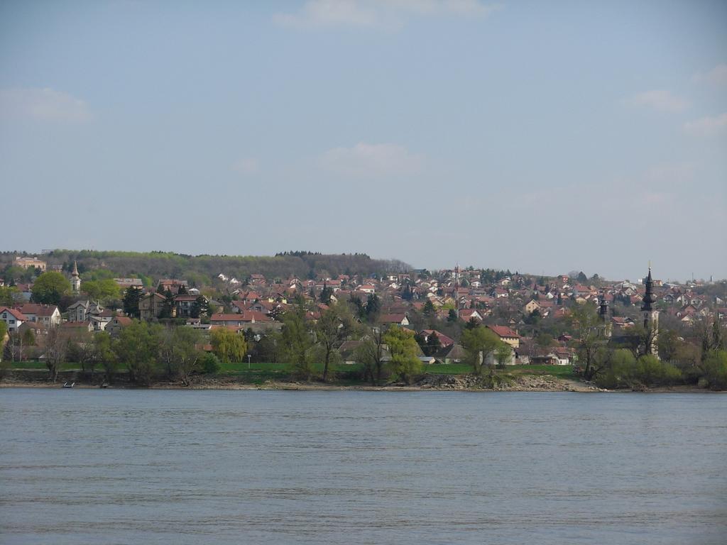 B&B Villa Evandjelina Sremska Kamenica Dış mekan fotoğraf