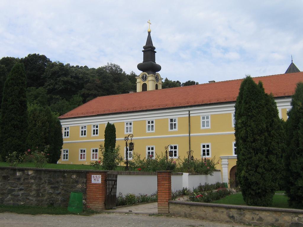 B&B Villa Evandjelina Sremska Kamenica Dış mekan fotoğraf