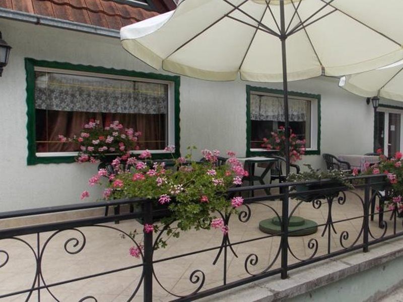 B&B Villa Evandjelina Sremska Kamenica Dış mekan fotoğraf