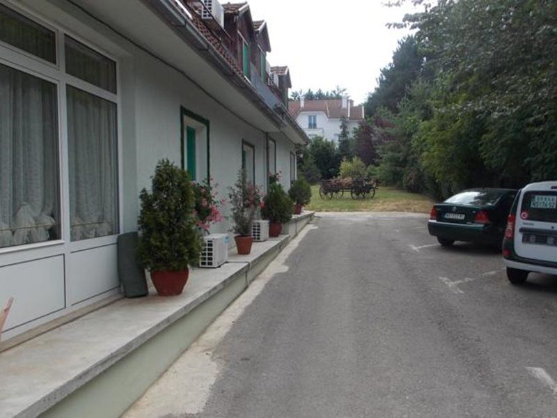 B&B Villa Evandjelina Sremska Kamenica Dış mekan fotoğraf